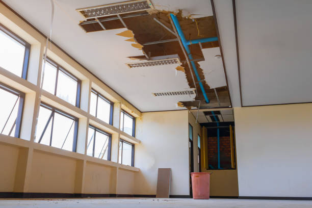 Best Water damage restoration process  in Sunset, LA