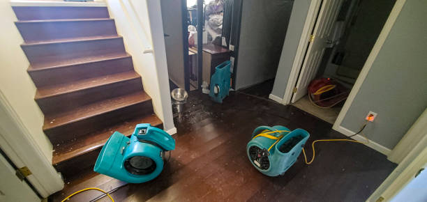 Best Water damage restoration near me  in Sunset, LA