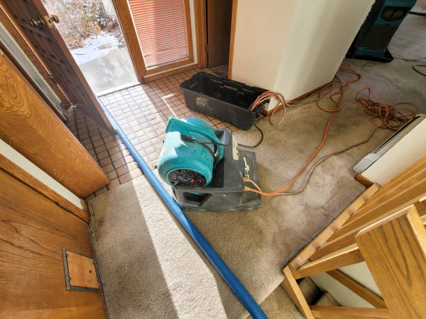 Professional Water damage restoration in LA