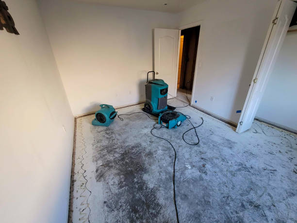 Best Ceiling water damage repair  in Sunset, LA