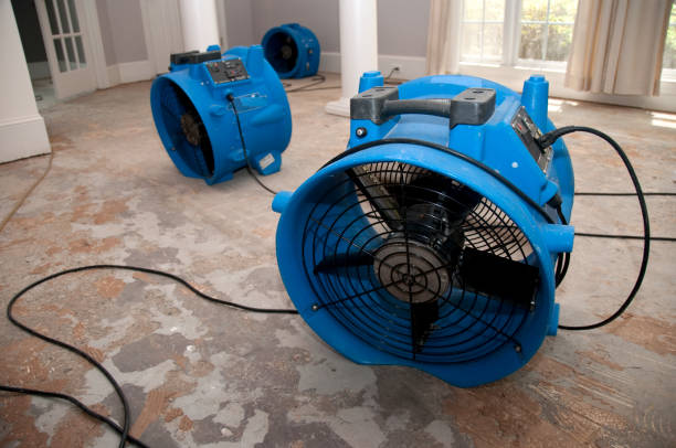 Best Fire Damage Restoration  in Sunset, LA