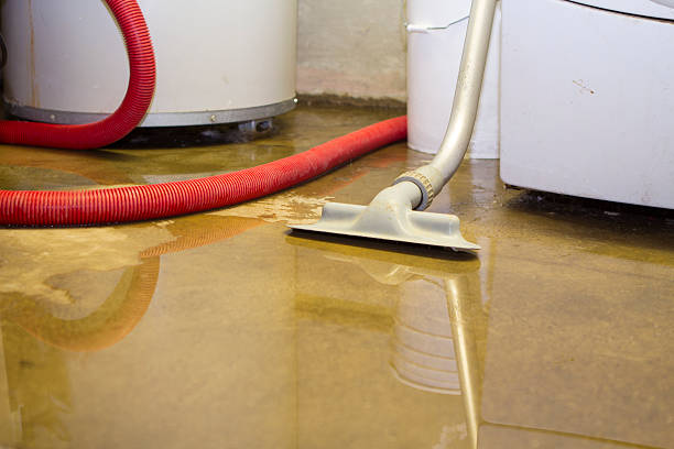 Best Water damage restoration services  in Sunset, LA