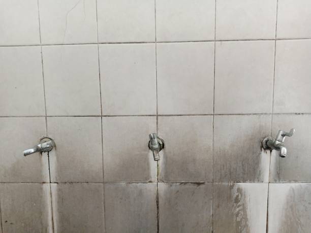 Best Sewage cleanup and water damage restoration  in Sunset, LA