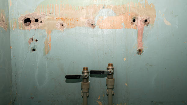 Best Water damage cleanup near me  in Sunset, LA