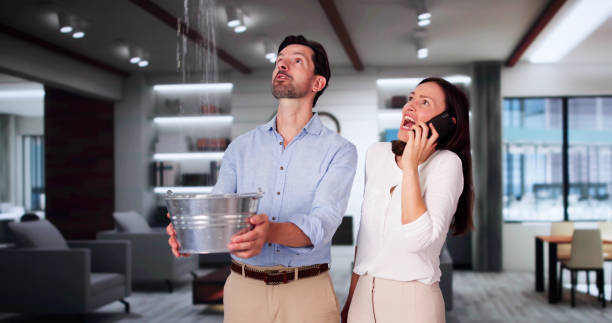 Best Ceiling water damage repair  in Sunset, LA